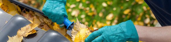 Mobile Friendly Website - Tidy Crew